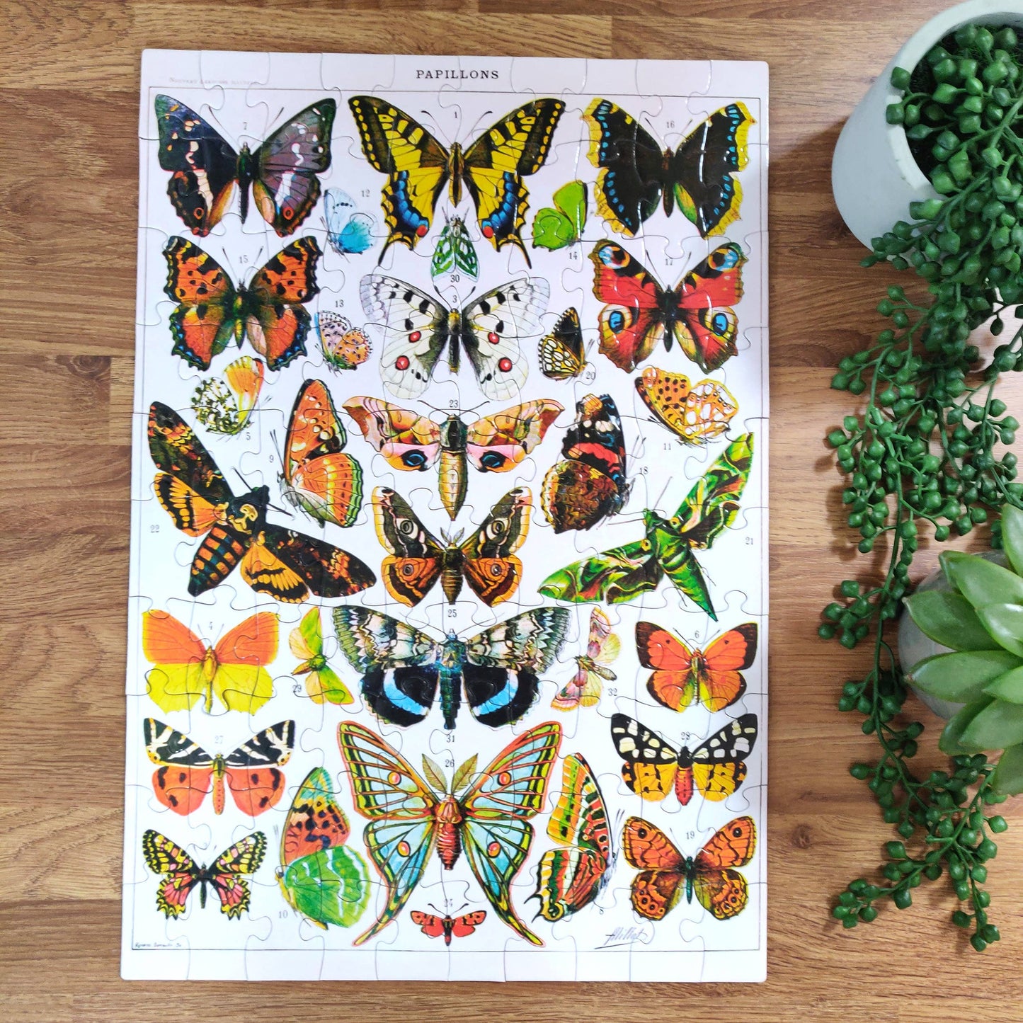 Vintage Butterflies 100 Piece Jigsaw Puzzle