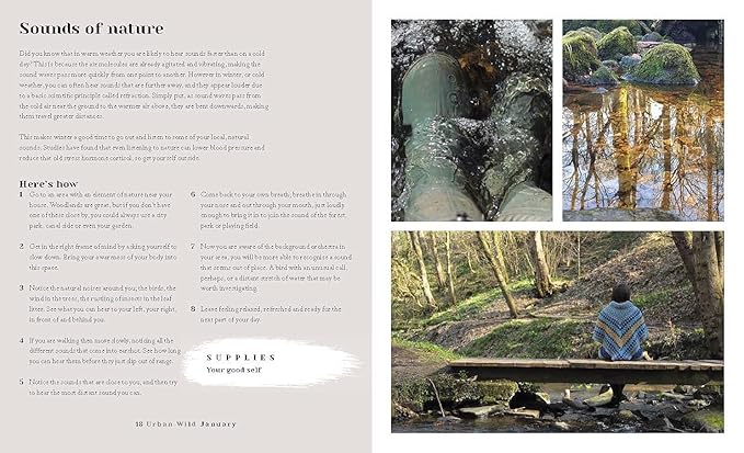 Urban Wild: 52 Ways to Find Wildness on Your Doorstep by Helen Rook