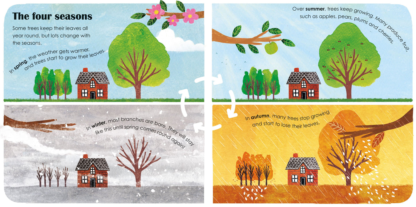 Trees: A Lift the Flap Eco Book from Ladybird