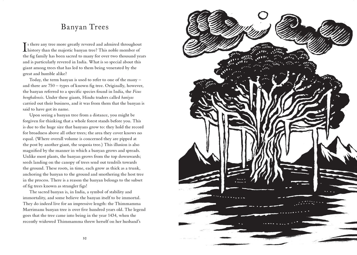Treasury of Folklore: Woodlands & Forests by Dee Dee Chainey & Willow Winsham