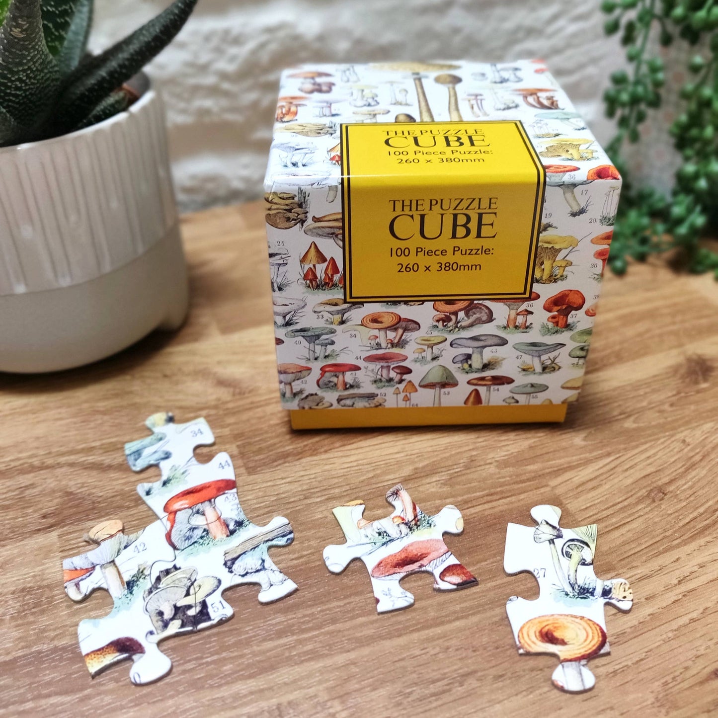 Vintage Mushrooms 100 Piece Jigsaw