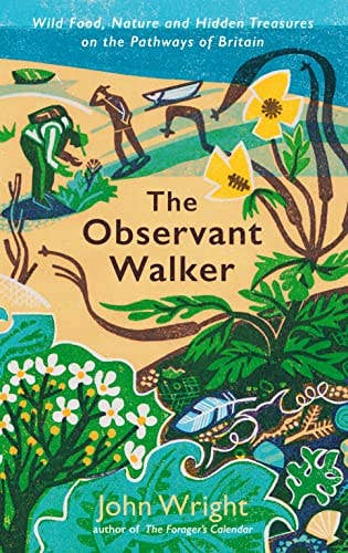 The Observant Walker by John Wright