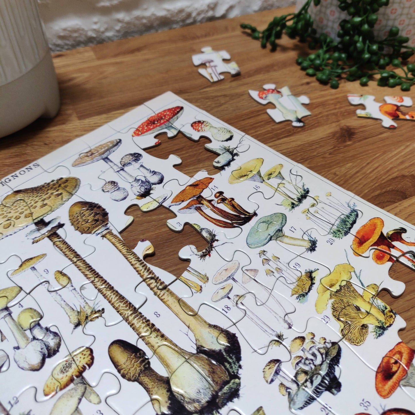 Vintage Mushrooms 100 Piece Jigsaw