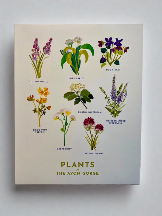 Plants of the Avon Gorge A4 Print
