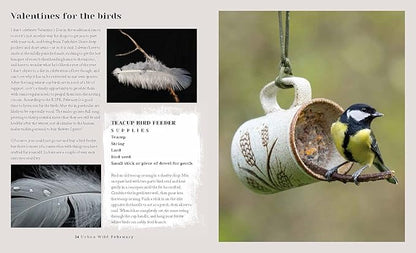 Urban Wild: 52 Ways to Find Wildness on Your Doorstep by Helen Rook