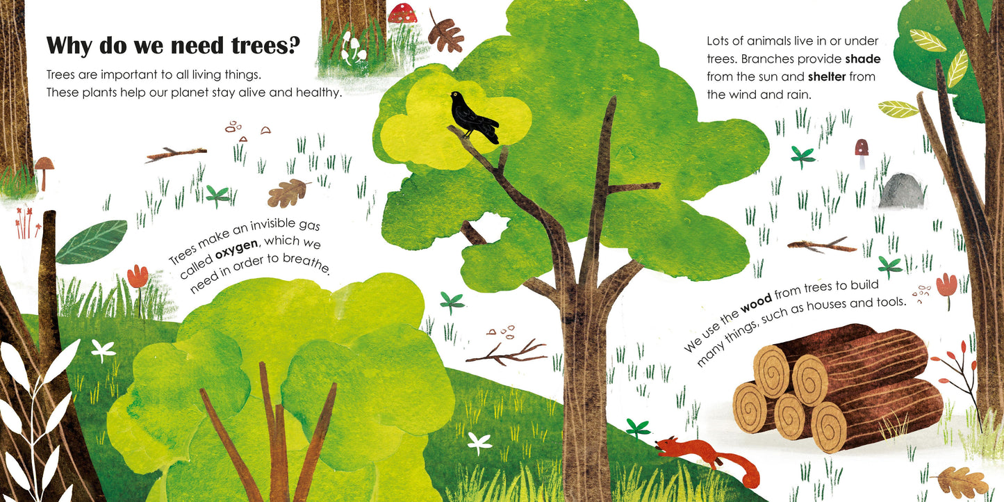 Trees: A Lift the Flap Eco Book from Ladybird