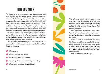 Little Book of Foraging by Kitty Greenbrown