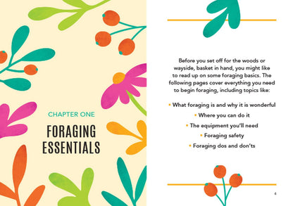 Little Book of Foraging by Kitty Greenbrown