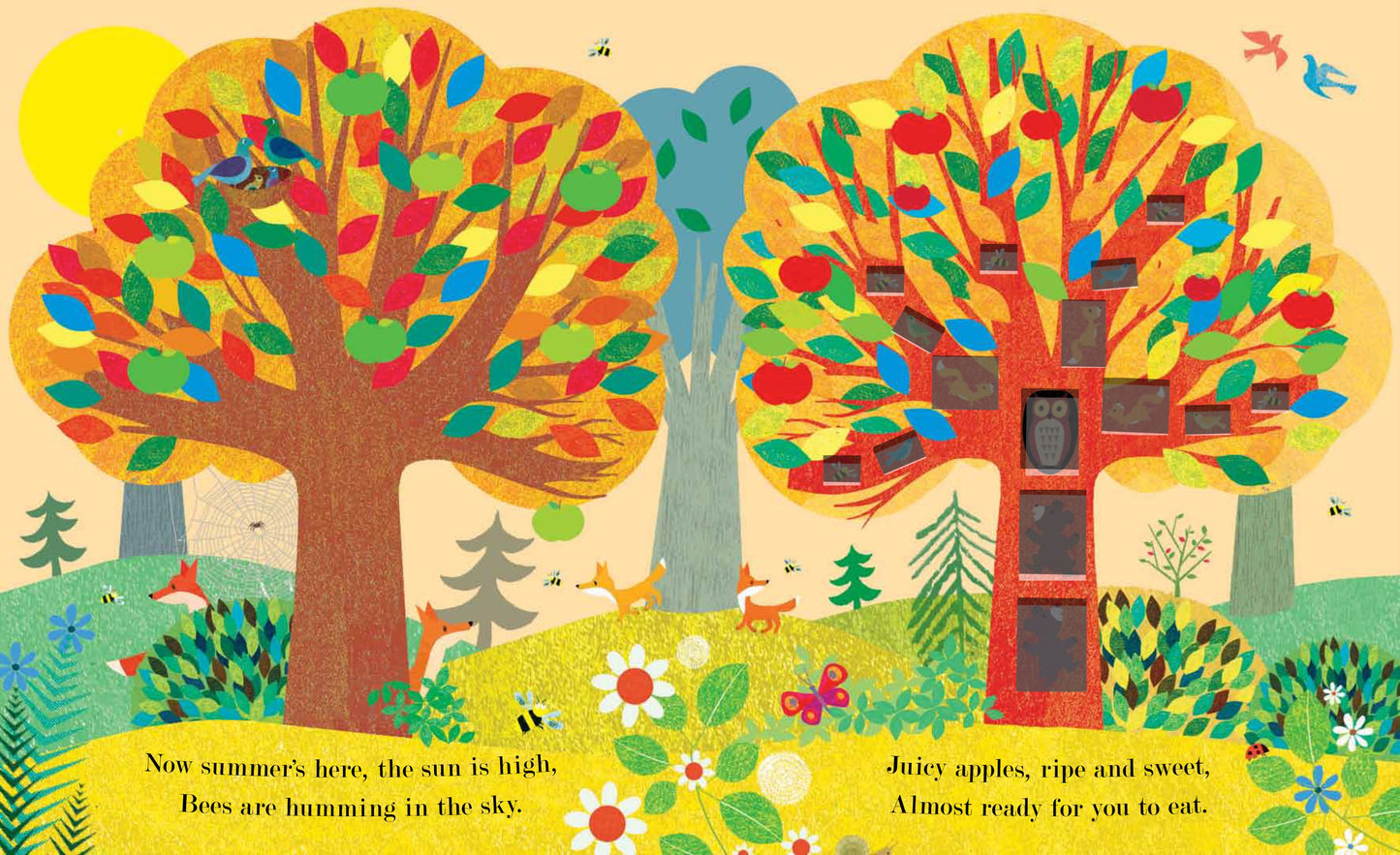 Seasons Come, Seasons Go by Patricia Hegarty & Britta Teckentrup