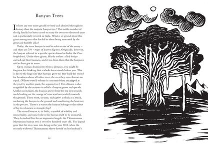 Treasury of Folklore: Woodlands & Forests by Dee Dee Chainey & Willow Winsham