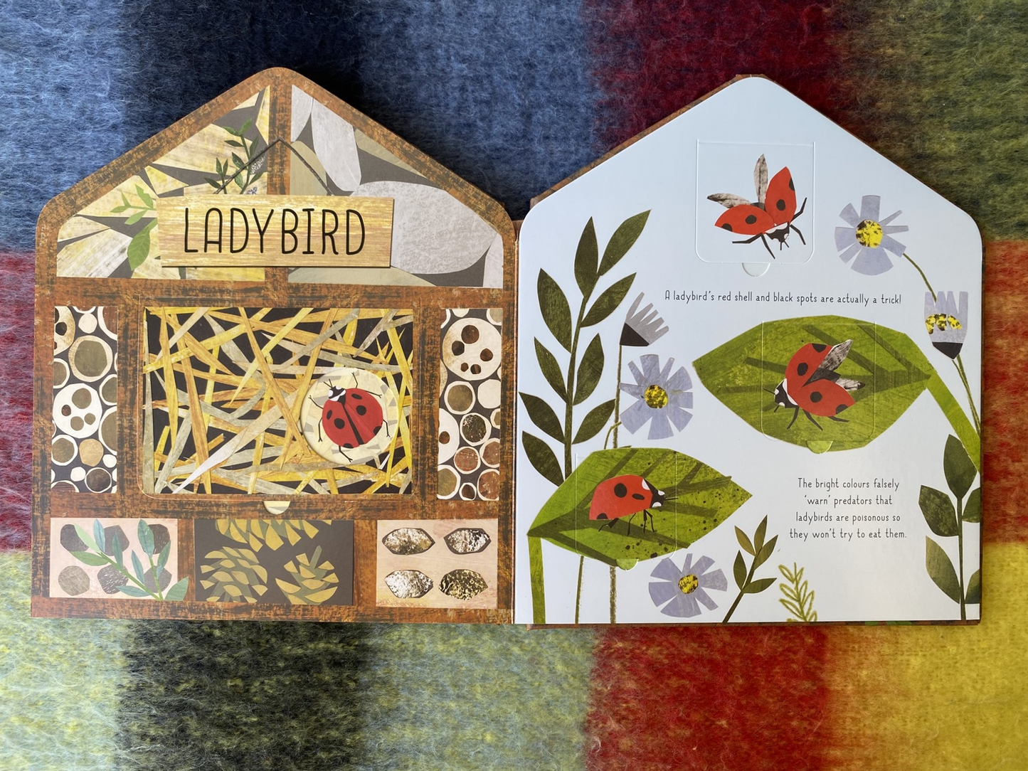 Bug Hotel: a Lift-the-Flap Book of Discovery by  Clover Robin
