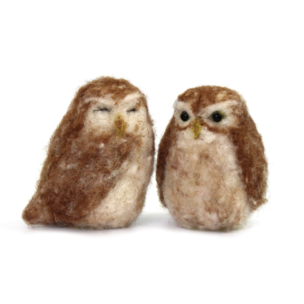 The Makerss Little Owl Needle Felting Craft Kit